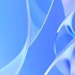 How to Install Droip into Local WP Server?